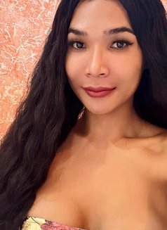 Lindy - Transsexual companion in Ko Samui Photo 11 of 12