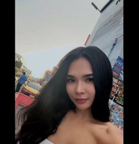 Lindy - Transsexual companion in Ko Samui