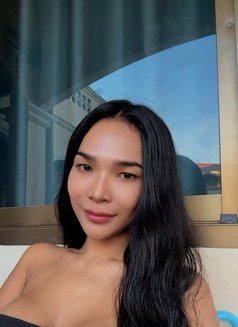 Lindy - Acompañante transexual in Ko Samui Photo 16 of 18