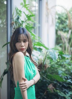 Ling Ling Hot Thai Girl in Bkk - escort in Bangkok Photo 11 of 12