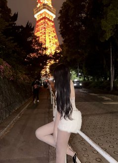 Ling Ling VVIP - escort in Tokyo Photo 20 of 24