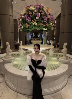 Ling Ling VVIP - escort in Tokyo Photo 22 of 23
