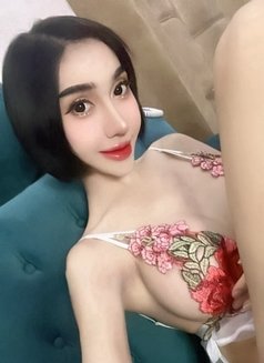 LingLing 69 - Transsexual escort in Riyadh Photo 15 of 17