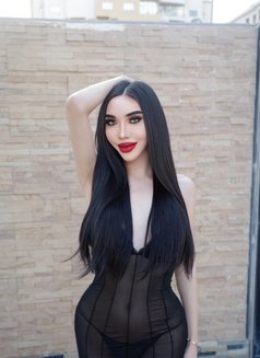 LingLing 69 - Transsexual escort in Khobar Photo 13 of 14