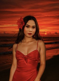 Lingling Dianira TS Top/bottom - Acompañantes transexual in Bali Photo 3 of 16