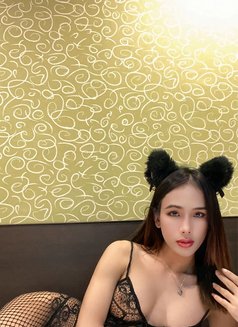 Linlee New Ladyboy - Male escort in Kaohsiung Photo 15 of 27