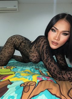 Linlin - Transsexual escort in Ko Samui Photo 2 of 8