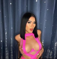 Linlin - Transsexual escort in Ko Samui