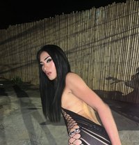 Linlin - Transsexual escort in  Koh Phangan