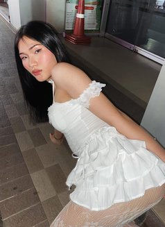 Linlin - Transsexual escort in  Koh Phangan Photo 6 of 7