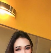 Linly Ladyboy So Hot - Transsexual escort in Kuala Lumpur