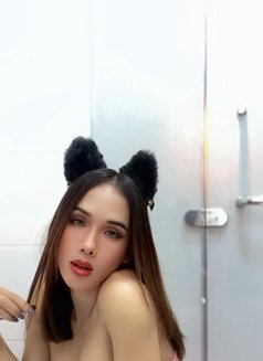 Linly Ladyboy So Hot - Transsexual escort in Kuala Lumpur Photo 19 of 28