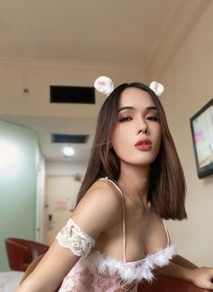 Linly Ladyboy So Hot - Transsexual escort in Kuala Lumpur Photo 23 of 28