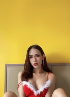 Linly Ladyboy So Hot - Transsexual escort in Kuala Lumpur Photo 27 of 28