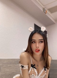 Linly Ladyboy So Hot - Acompañantes transexual in Georgetown, Penang Photo 28 of 30