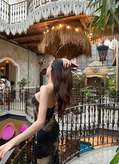 Linly Model Thailand - Transsexual escort in Khobar Photo 16 of 20