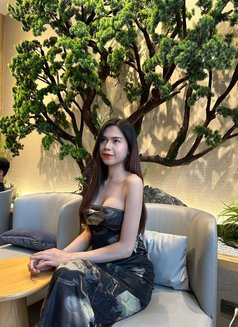 Linly Model Thailand - Transsexual escort in Khobar Photo 17 of 20