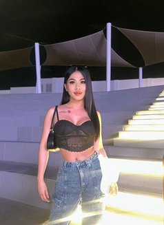 Linly New Dubai Domination Group Sex - Transsexual escort in Dubai Photo 1 of 5