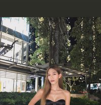 Linncious - Acompañantes transexual in Manila