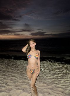 Linncious - Transsexual escort in Manila Photo 4 of 4