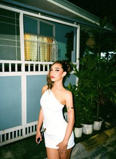 Linncious - Transsexual escort in Manila Photo 6 of 6