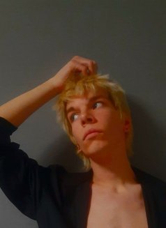 Lion - Acompañante masculino in Batumi Photo 4 of 8