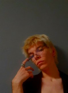 Lion - Acompañante masculino in Batumi Photo 8 of 8