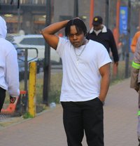 Lion - Male escort in Johannesburg