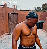 Lion - Male escort in Johannesburg