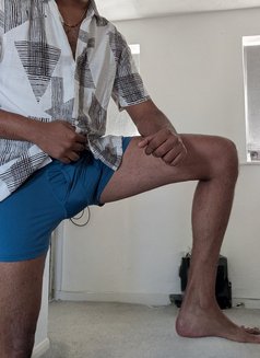 Cam/Video sessions/Tehan - Male escort in Colombo Photo 3 of 5