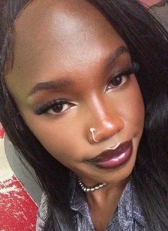 Lip Assassin - Transsexual escort in Nairobi Photo 9 of 11