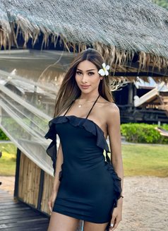 Lisa Both and good top 6 inch - Transsexual escort in Bangkok Photo 8 of 10