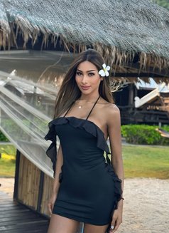 Lisa 8 inch Both more Top🇹🇠- Transsexual escort in Abu Dhabi Photo 8 of 9