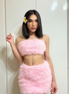 LISATH TOP&BOTTOM🫦 - Transsexual escort in Al Manama Photo 10 of 19
