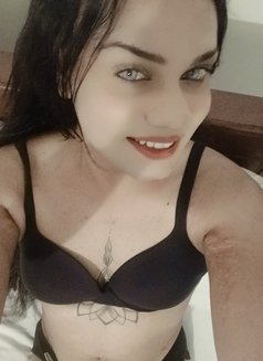 Lisa Fernando, Shemale - Transsexual escort in Colombo Photo 6 of 11