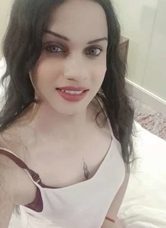 Lisa Fernando, Shemale - Transsexual escort in Colombo Photo 8 of 11