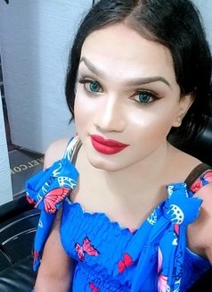 Lisa Fernando, Shemale - Transsexual escort in Colombo Photo 10 of 11