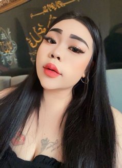 Lisa full service ass - escort in Ajmān Photo 19 of 21