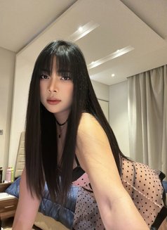 Lisa Good Top Sweet Bottom 🇹🇭🇰🇷 - Acompañantes transexual in Al Manama Photo 3 of 28