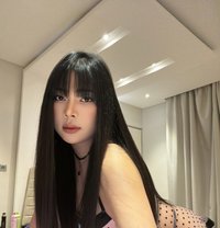 Lisa Good Top Sweet Bottom 🇹🇭🇰🇷 - Transsexual escort in Al Manama