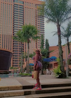 Lisa - escort in Shenzhen Photo 5 of 17