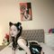 Lisa Hot GFE, DFK, OWO - escort in Dubai Photo 1 of 13