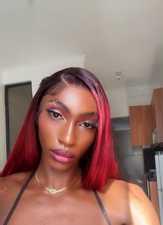 Lisa - Transsexual escort in Nairobi Photo 1 of 1