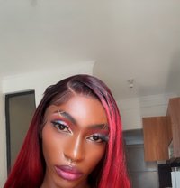Lisa - Transsexual escort in Nairobi
