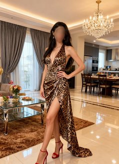 Lisa Lennox - escort in Rio de Janeiro Photo 13 of 17