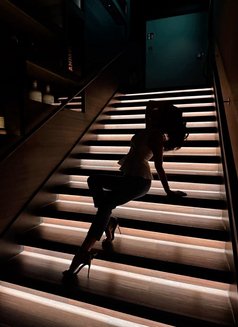 Lisa New in Town - escort in Frankfurt Photo 2 of 4