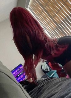 Lisa New in Town - escort in Frankfurt Photo 3 of 4