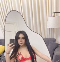 Lisa New Lady Boy - masseuse in Jeddah