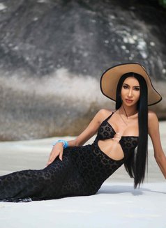Lisa Sexy Ladyboy From Thailand - Acompañantes transexual in Riyadh Photo 3 of 6