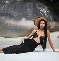 Lisa Sexy Ladyboy From Thailand - Acompañantes transexual in Riyadh